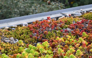 the cost of Easting green roof installation