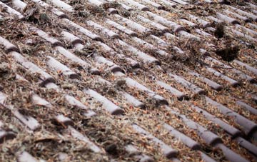 Easting roof cleaning companies