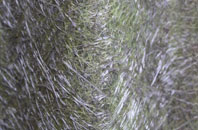 Easting fibreglass roof work